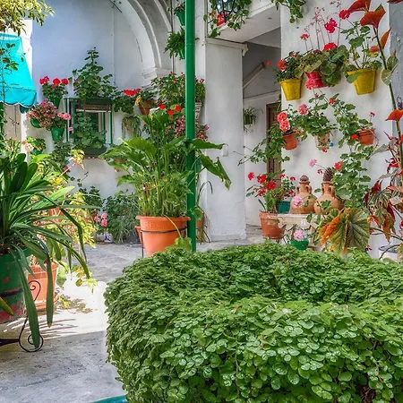 Jerez Apartment *